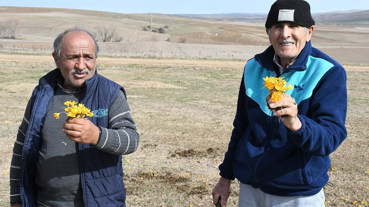 Yozgat'tan da benzer manzara! Türkiye'nin her yerinden aynı haber geliyor