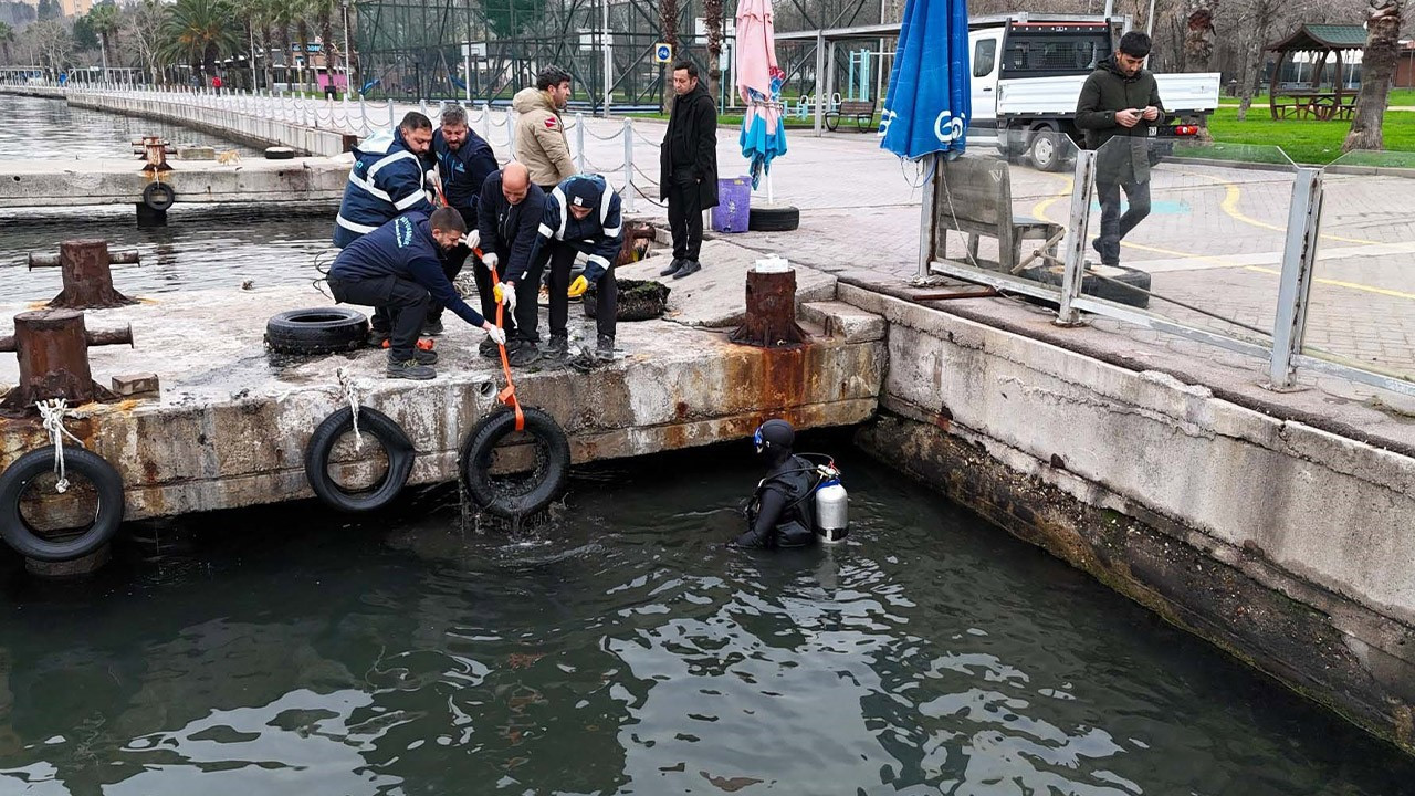 Kocaeli'de deniz dibinden tam 50 tane çıktı! Yazıklar olsun