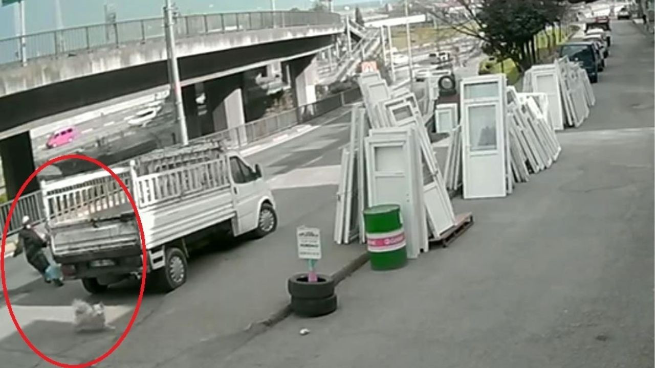 Trabzon'da dehşet! Köpekten kaçan üniversiteli kıza otobüs çarptı