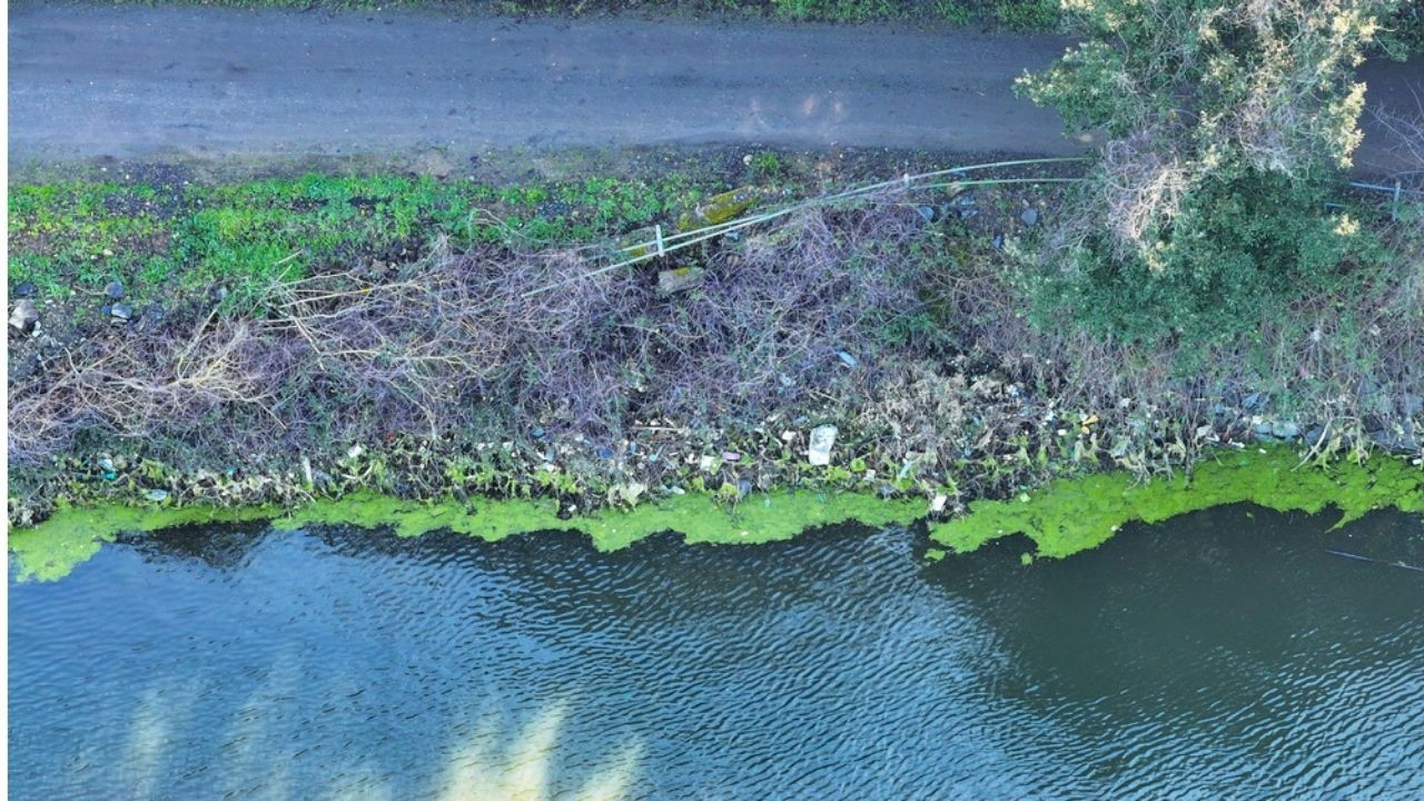 İstanbul'un su kaynağında çöp alarmı! Elmalı Barajı'ndaki doğa katliamı dronla görüntülendi
