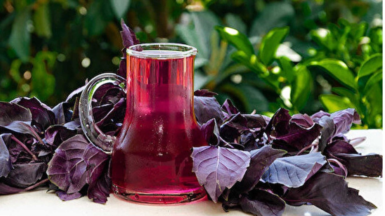 Ramazan’da mide şişkinliğine doğal çözüm: Reyhan şerbeti