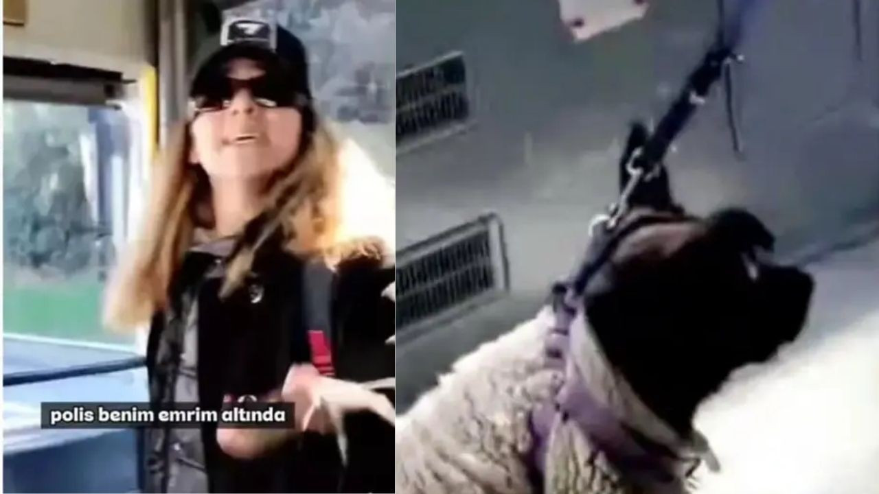 "Seni öldüreceğim" diyerek yolcuyu tehdit etmişti! Sosyal medyadaki o görüntülere soruşturma