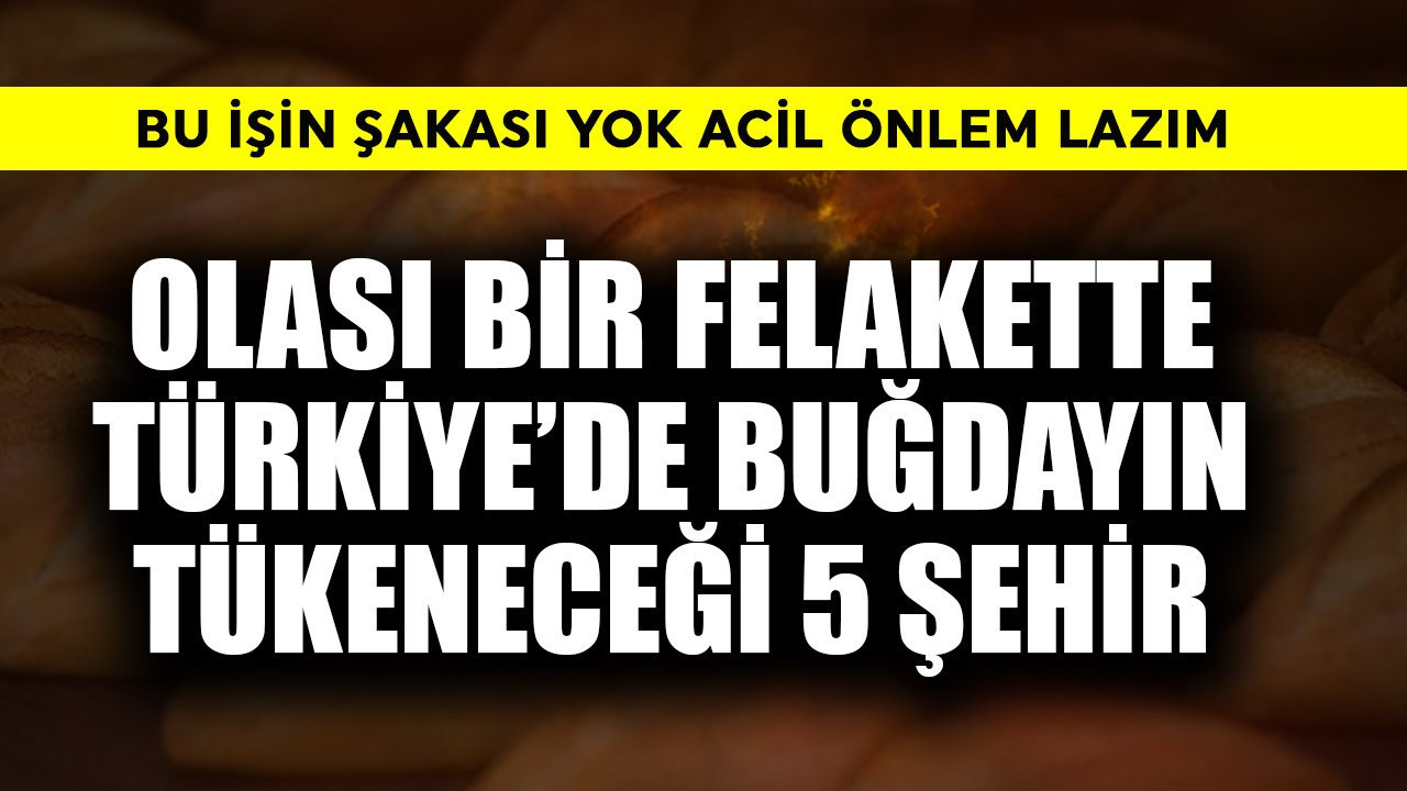 Olası bir felakette Türkiye'de buğdayın tükeneceği 5 şehir! Bu işin şakası yok acil önlem lazım