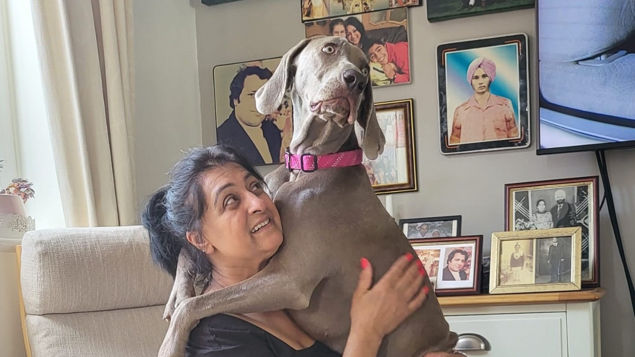 Köpeği yarasını yaladı, 6 kez kalbi durdu, 4 uzvunu kaybetti!