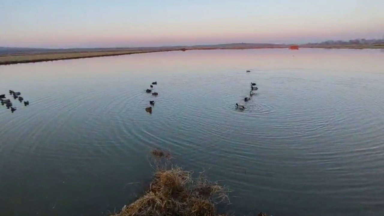 Kaçak avcılara dudak uçuklatan ceza!