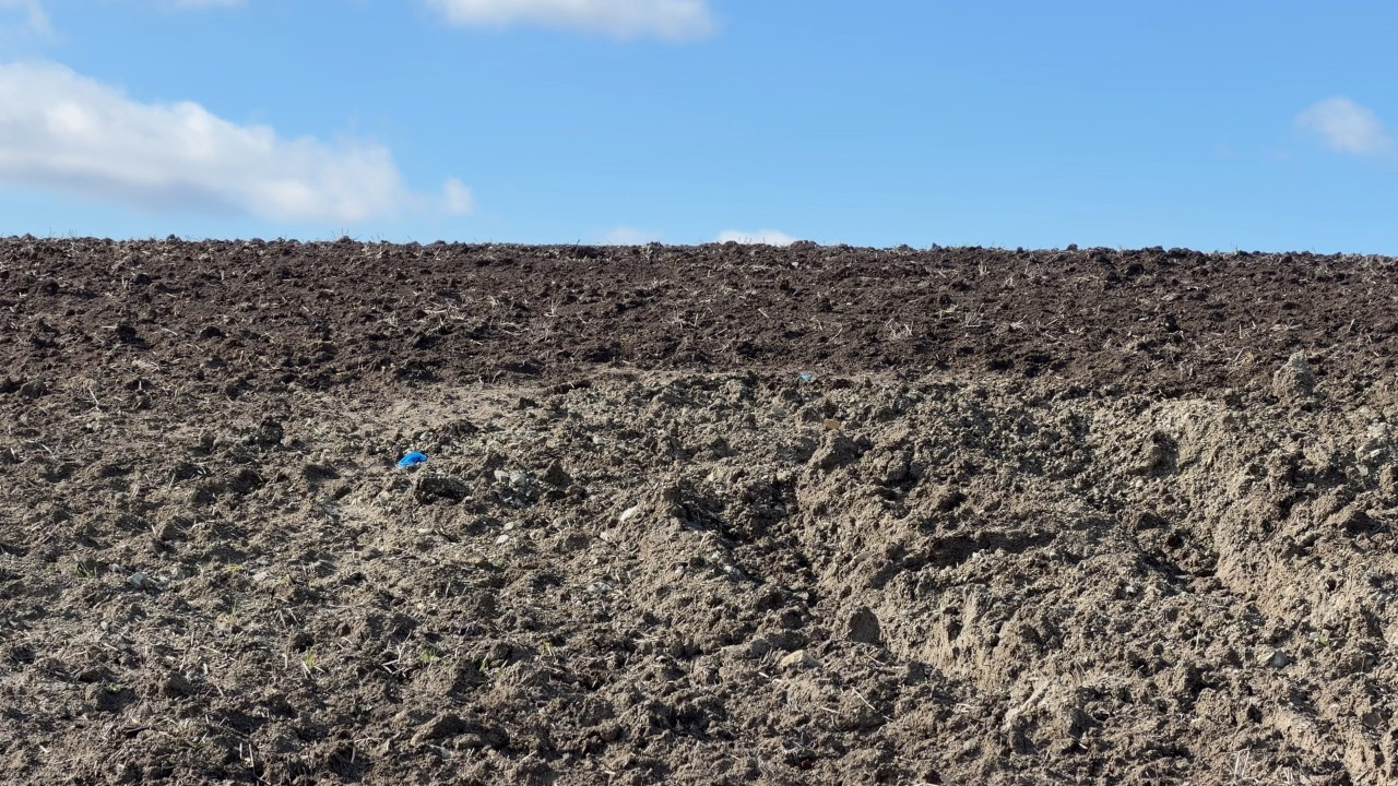 İstanbul'da vahşet! Kayıp Çinli iş insanı tarlada gömülü bulundu
