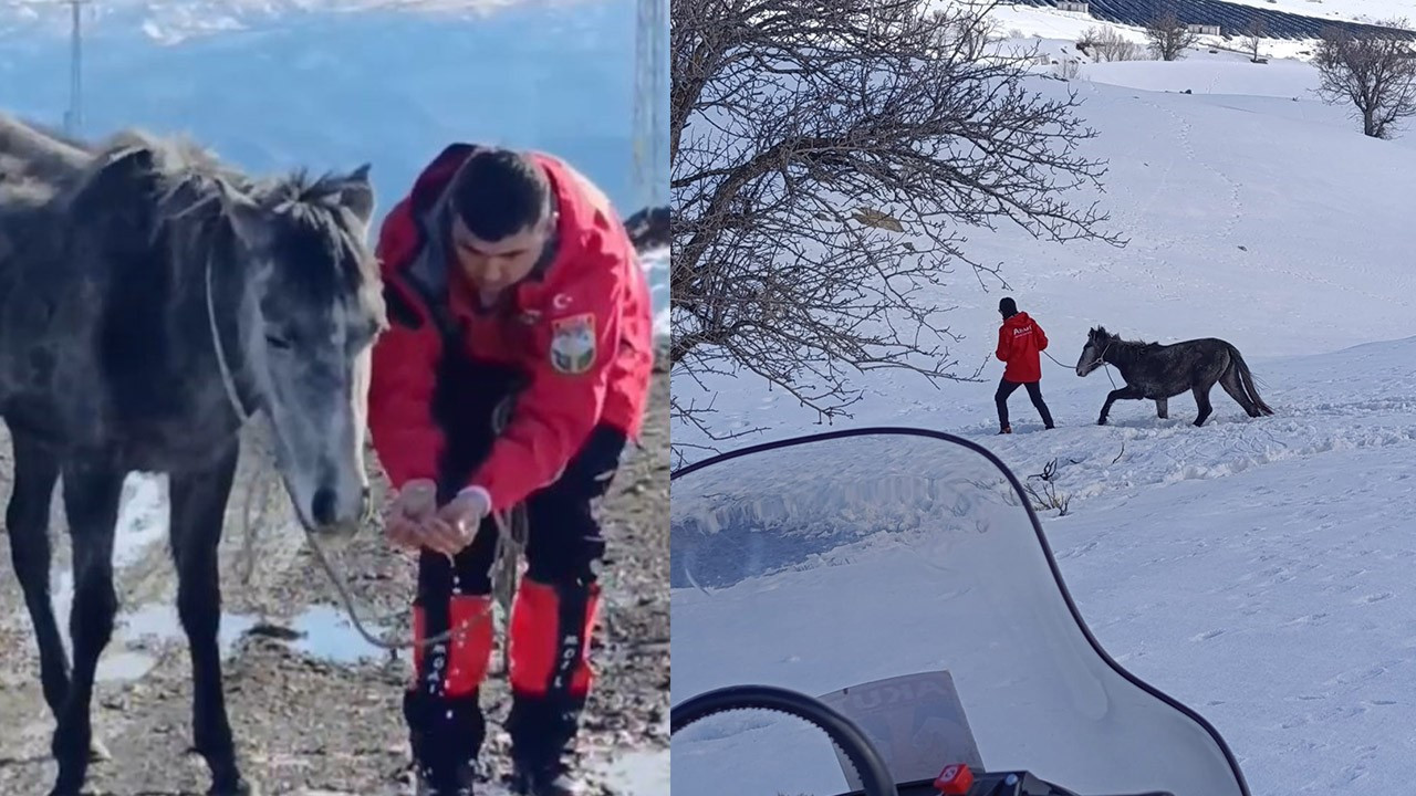 Doğada acı olay! Ekipler gittiğinde perişan bir halde gördü