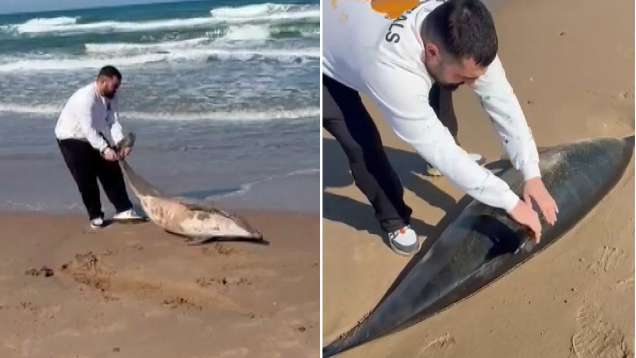 Şile'de kıyıya vurdu! Son bir çare ile yanına koştu