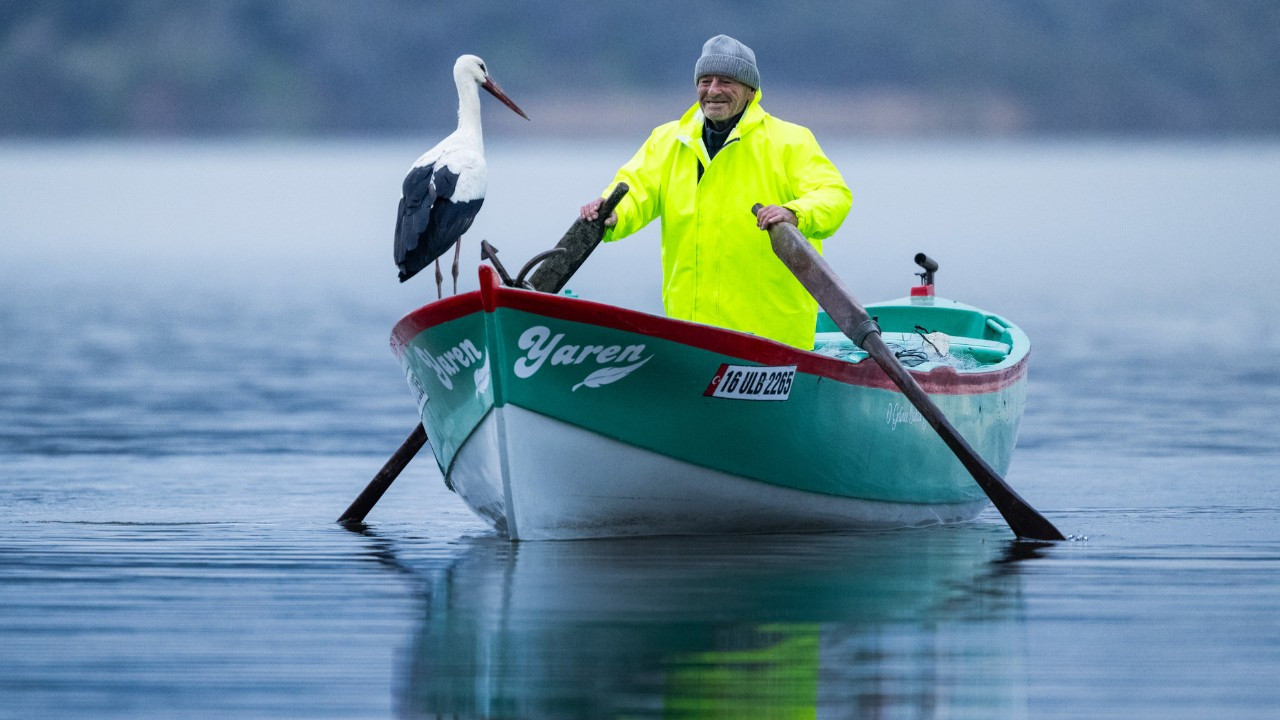 Beklenen kavuşma gerçekleşti! Yaren Leylek bu yıl da Adem Amca'yı yalnız bırakmadı
