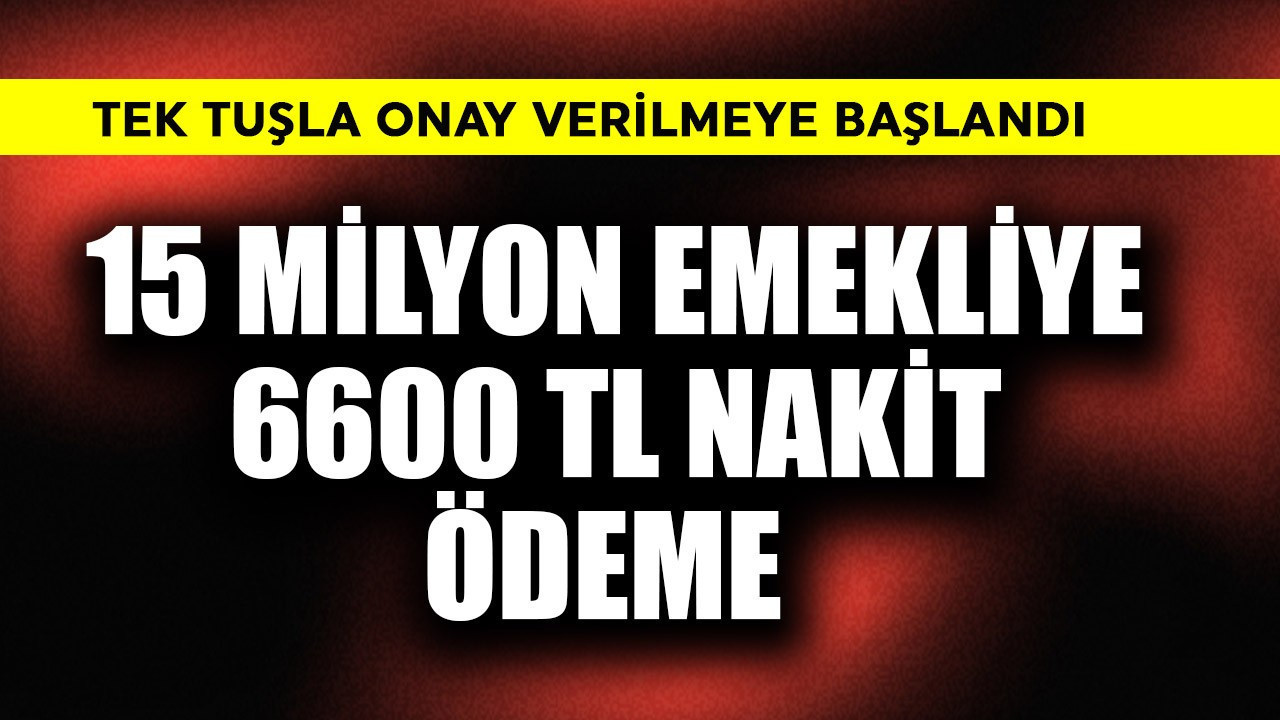 15 milyon emekliye 6600 TL nakit ödeme gelişmesi