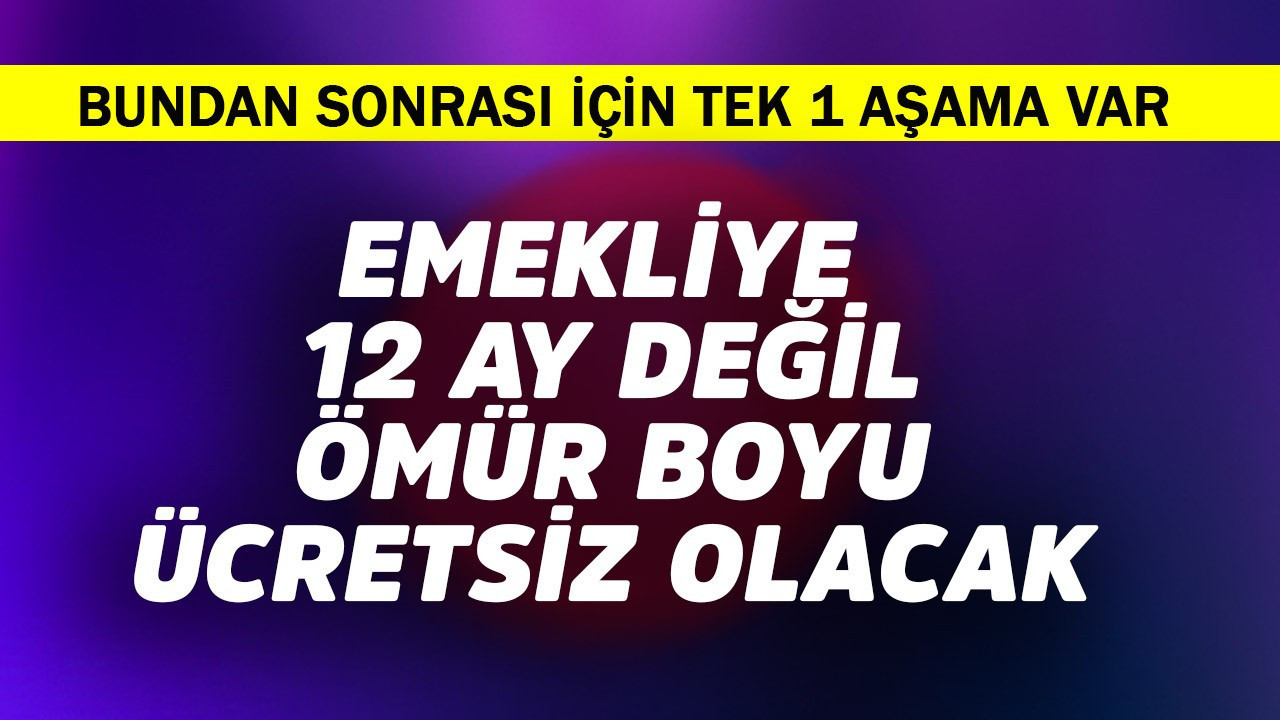 Emekli kabul edilirse 12 ay değil ömür boyu ödemeyecek