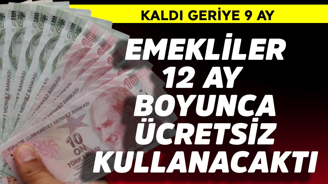 Emekliler 12 ay boyunca ücretsiz kullanacaktı! Kaldı 9 ay