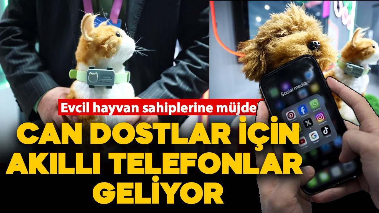 Evcil hayvan sahiplerine müjde! Can dostlar için akıllı telefonlar geliyor