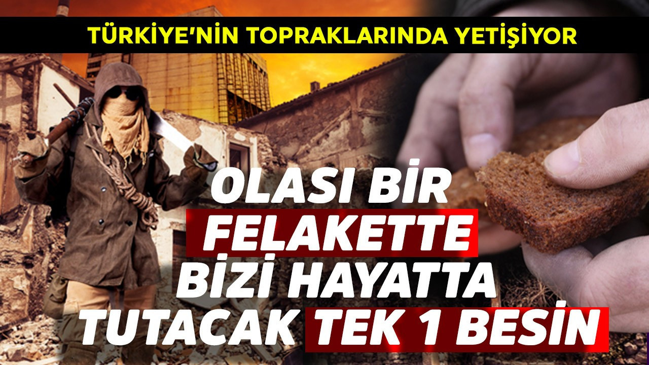Dünyada olası bir felakette bizi hayatta tutacak tek 1 yiyecek belli oldu! Türkiye'de yetişiyor