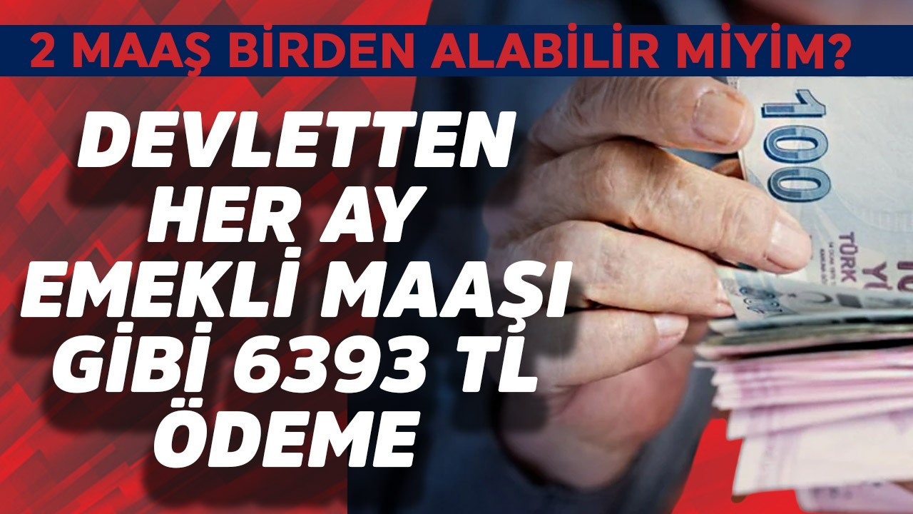 Devletten her ay emekli maaşı gibi  6393 TL ödeme