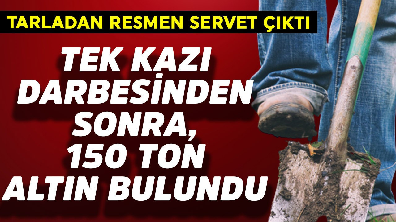 Tarladan resmen servet çıktı! Tek kazı darbesinden sonra 150 ton altın bulundu