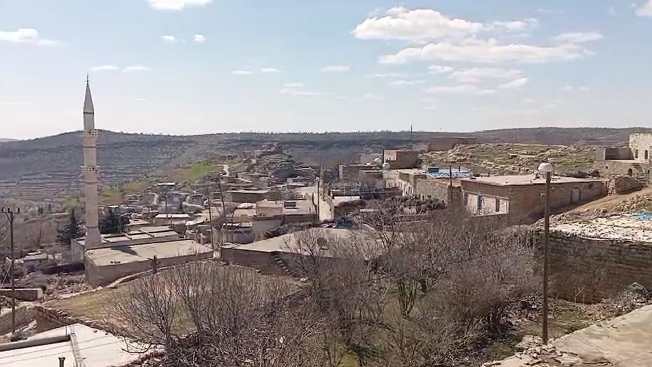 İnekteki kuduz şüphesi nedeniyle mahalle karantinaya alındı