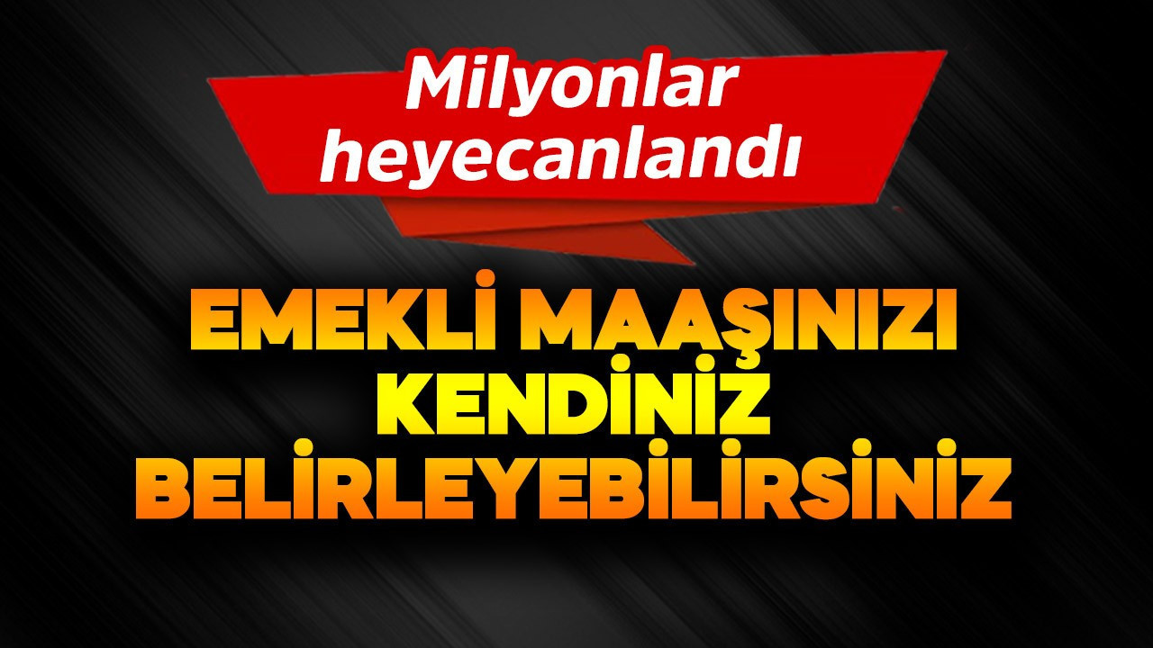 Emekli maaşınızı kendiniz belirleyebilirsiniz!  Milyonlar heyecanlandı