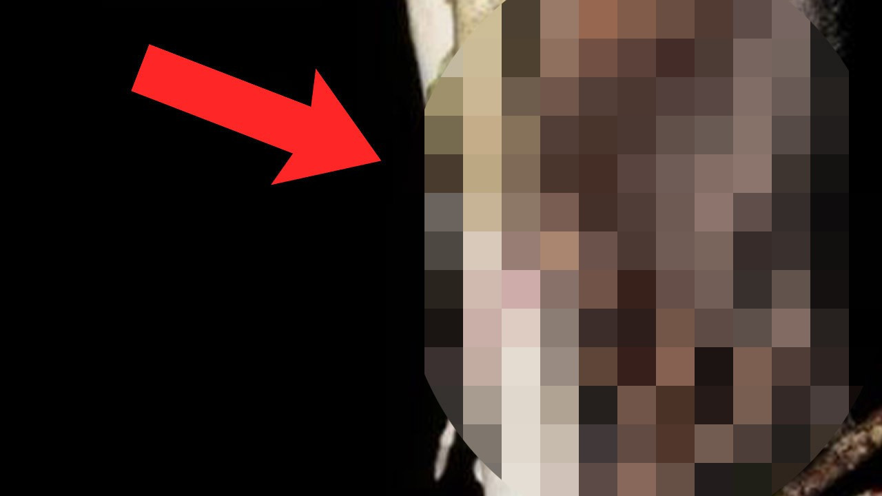 Dünyada yok sanılıyordu, 6.000 yıl sonra ormanın derinliklerinde görüldü