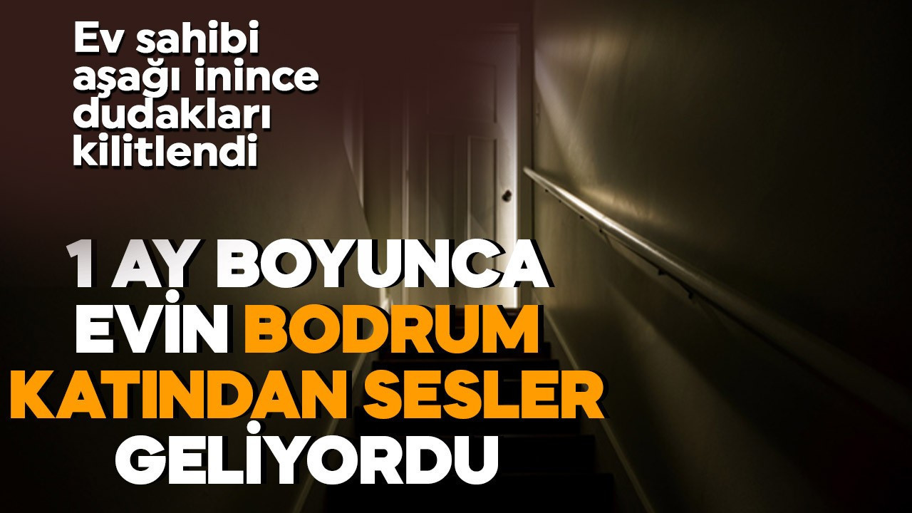 1 ay boyunca evin bodrum katından sesler geliyordu! Ev sahibi aşağı inince dudakları kilitlendi