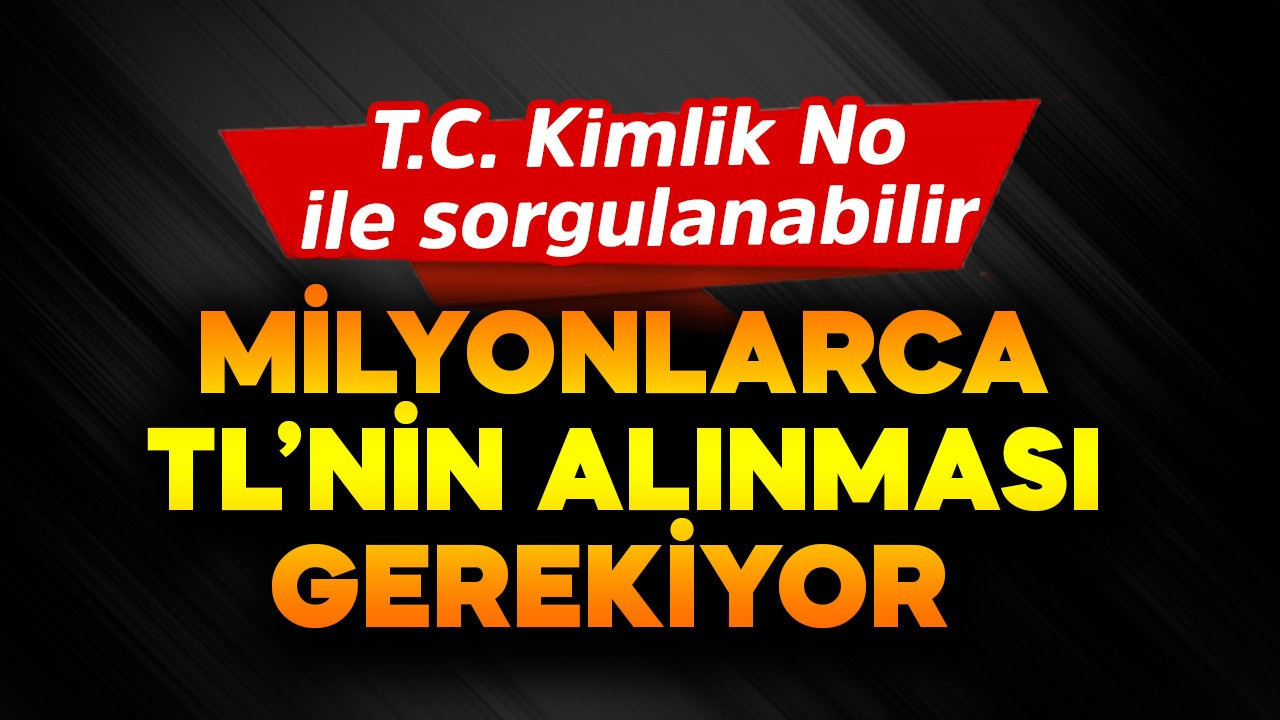 T.C Kimlik Numarası ile sorgulanabilir! Milyonlarca TL'nin alınması gerekiyor