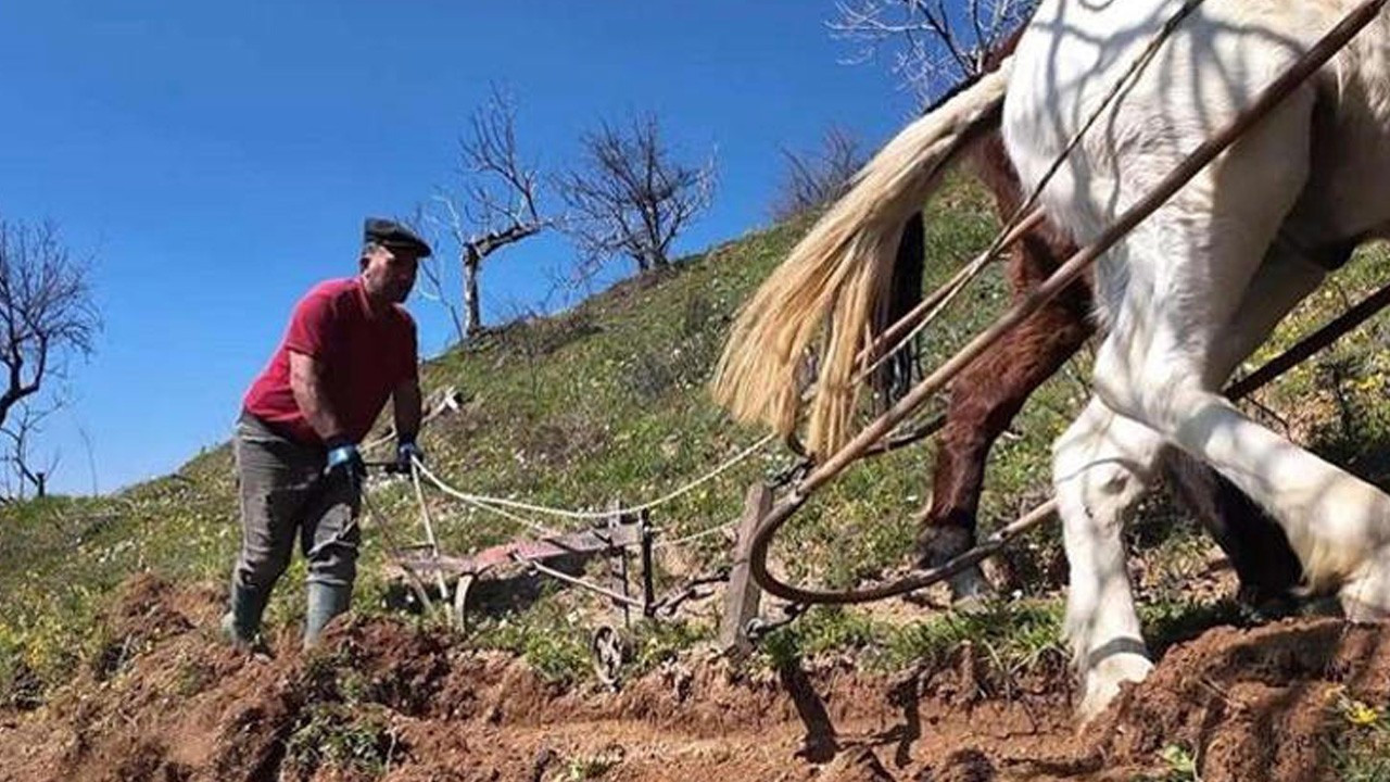 Şaka değil gerçek! 240 bin TL'ye işçi bulamıyorlar! Meslek yok olma tehlikesi ile karşı karşıya