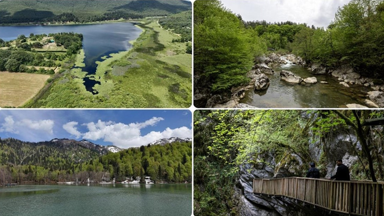 Milli parklarda yeni dönem! Teklif yasalaştı