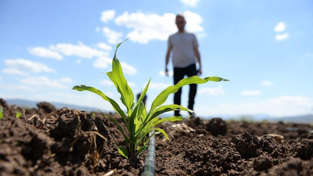 Savaşın yeni cephesi tarım oldu! Yeni kriz kapıda: Türkiye için hem risk hem de fırsat bir arada