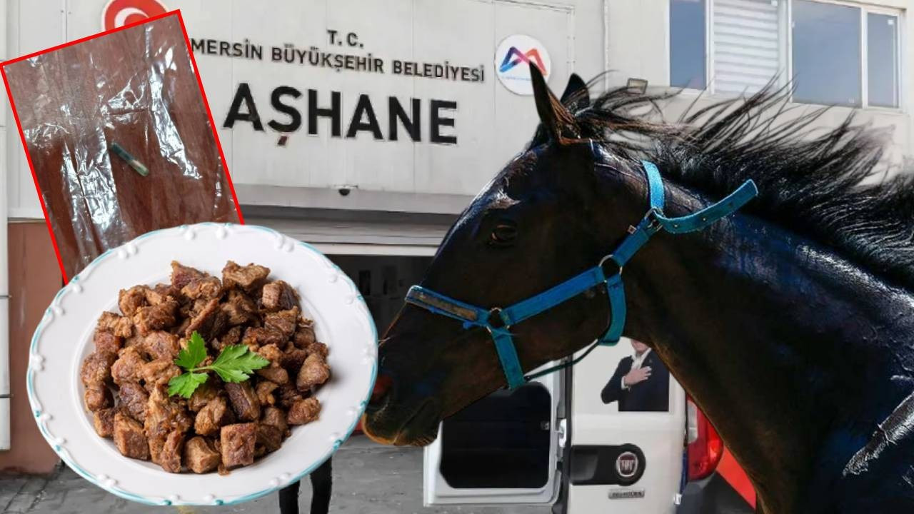 Yarış atını kesip kavurma yapmışlar! Mersin Büyükşehir Belediyesi'nde büyük skandal