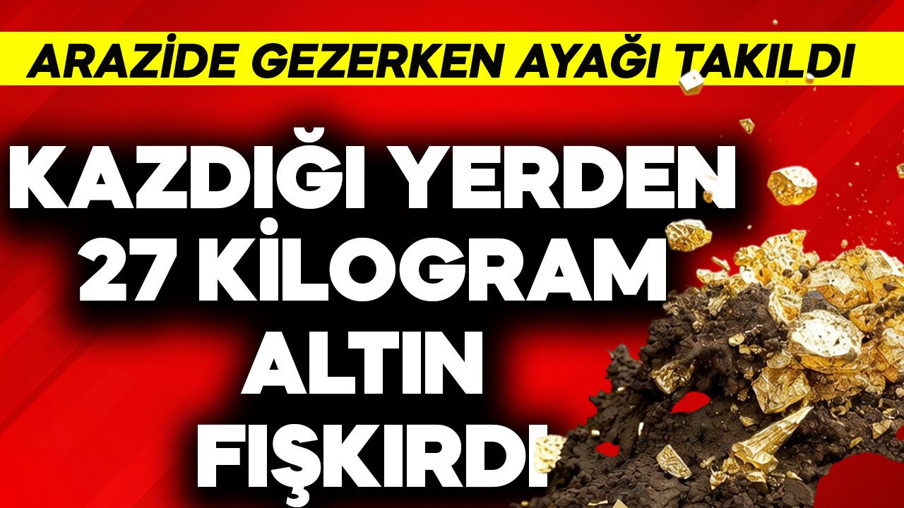 Arazide gezdiği sırada ayağına takıldı, kazdığı yerden 27 kilo altın fışkırdı