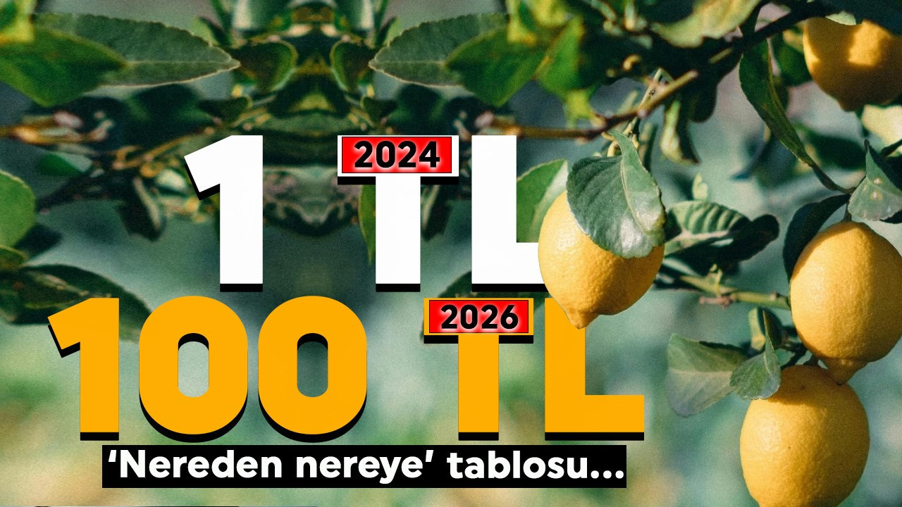 Plansızlık limonu vurdu! Nereden nereye tablosu: 1 liradan 100 liraya çıktı