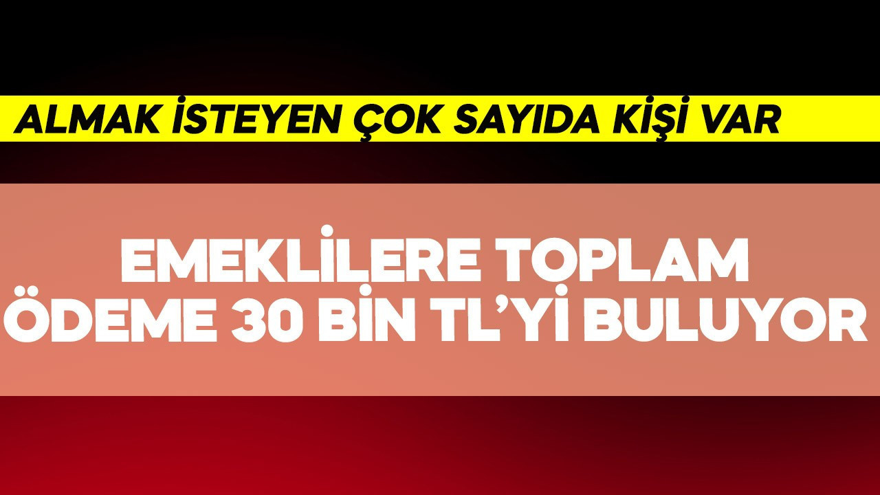 Emeklilere toplam ödeme 30 bin TL'yi buluyor