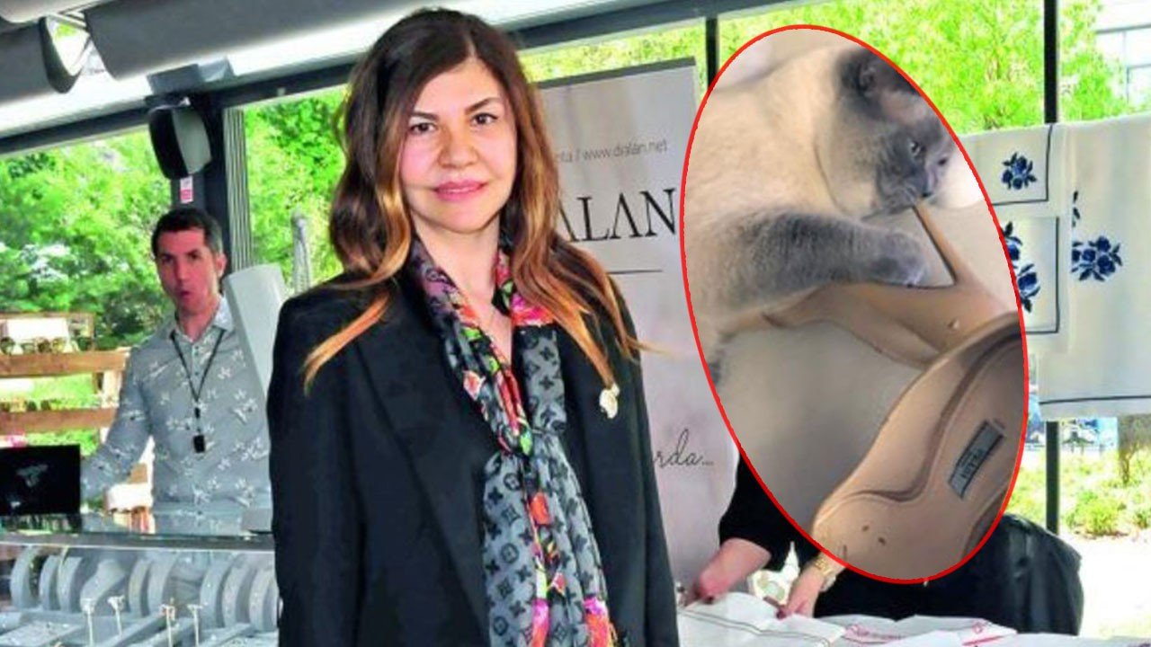 Gördüğü manzara karşısında şok oldu! Kedisi 50 bin liralık ayakkabısını yedi