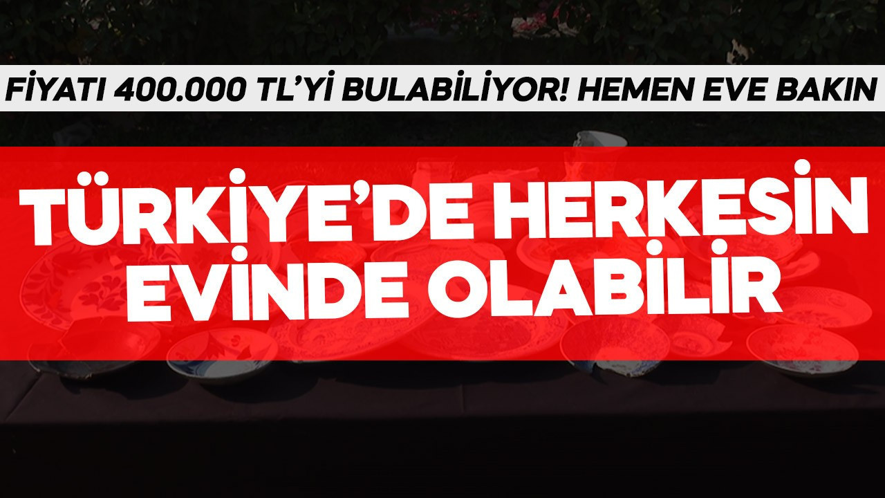 Herkesin evinde olabilir! Fiyatı 400.000 TL'yi bulabiliyor hemen eve bakın