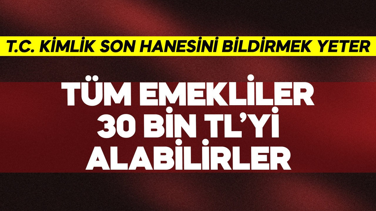 Tüm emekliler 30 bini alabilir! T.C. Kimlik No Son Hanesi 0,2,4,6,8'i bildirmek yeter