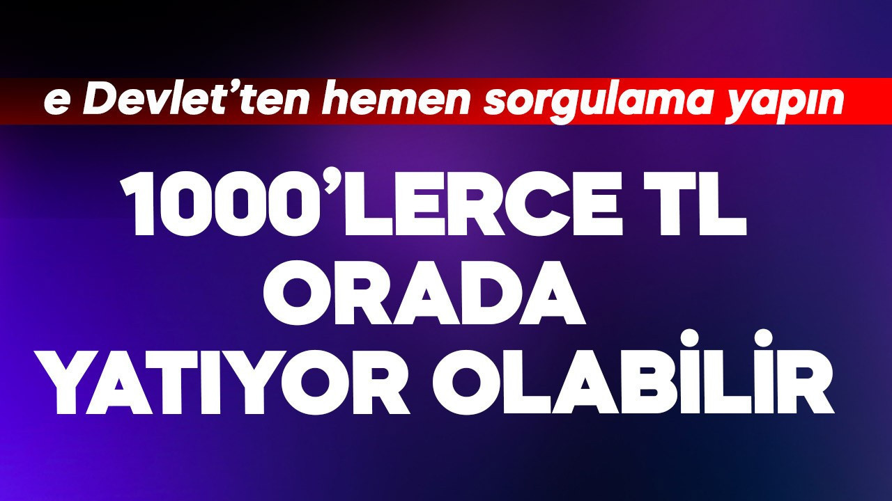 E Devlet'ten hemen sorgulama yapın! 1000'lerce TL orada yatıyor olabiliir