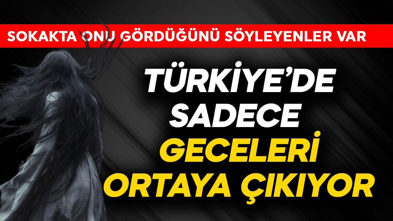 Türkiye'de sadece geceleri ortaya çıkıyor! Sokakta onu gördüğünü söyleyenler var