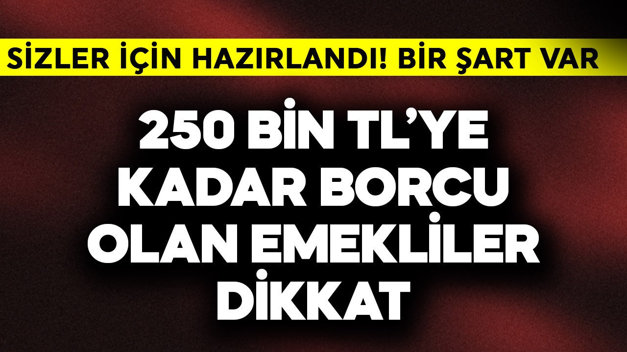 250 bin TL'ye kadar borcu olan emekliler dikkat