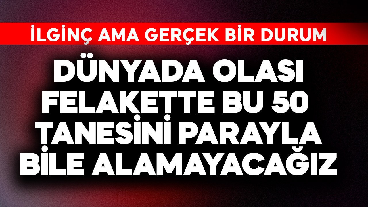Dünyada olası bir felakette bu 50 tanesini parayla bile satın alamayacağız! İlginç ama gerçek