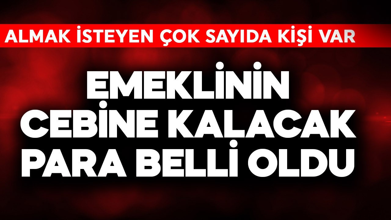 Emeklinin cebine kalacak para belli oldu