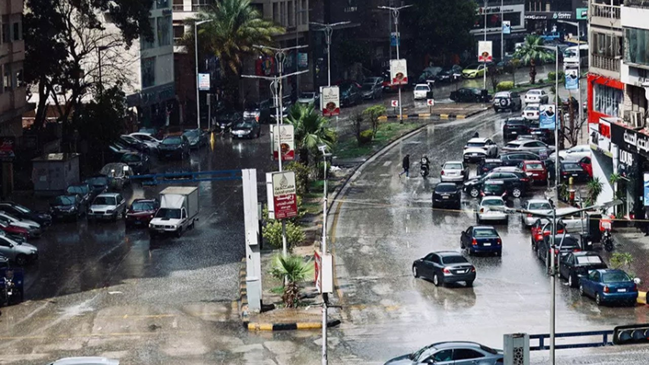 Sel suları felaket getirdi! Kent akrep istilasına …