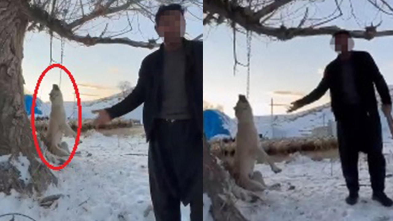 Vicdanları sarsan olay: Çok yediğini iddia ettiği …