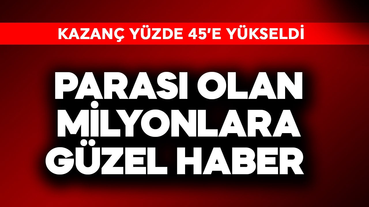 Kazanç yüzde 45'e yükseldi! Parası olan milyonlara güzel haber