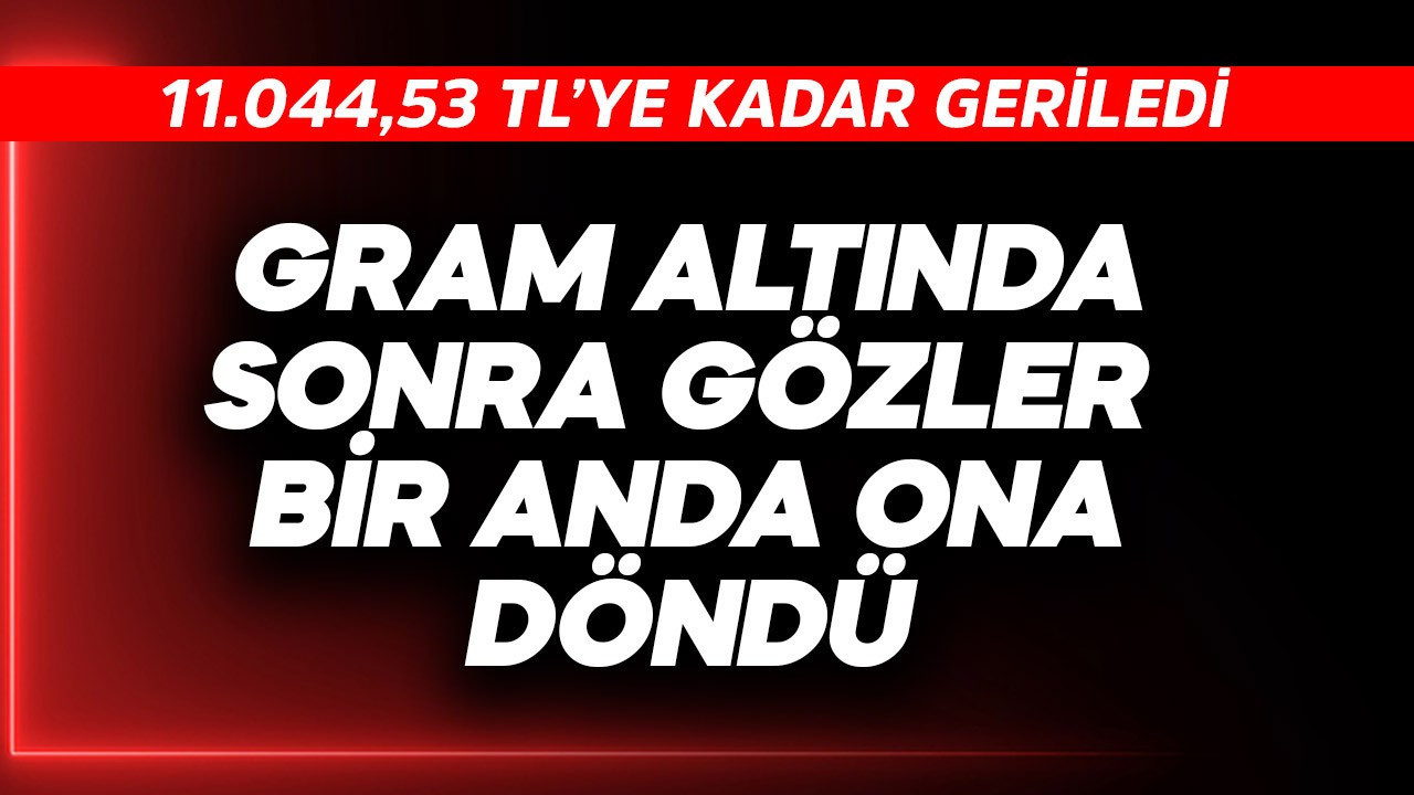 Gram altından sonra gözler bir  anda ona döndü! 11.044,53 TL'ye geriledi
