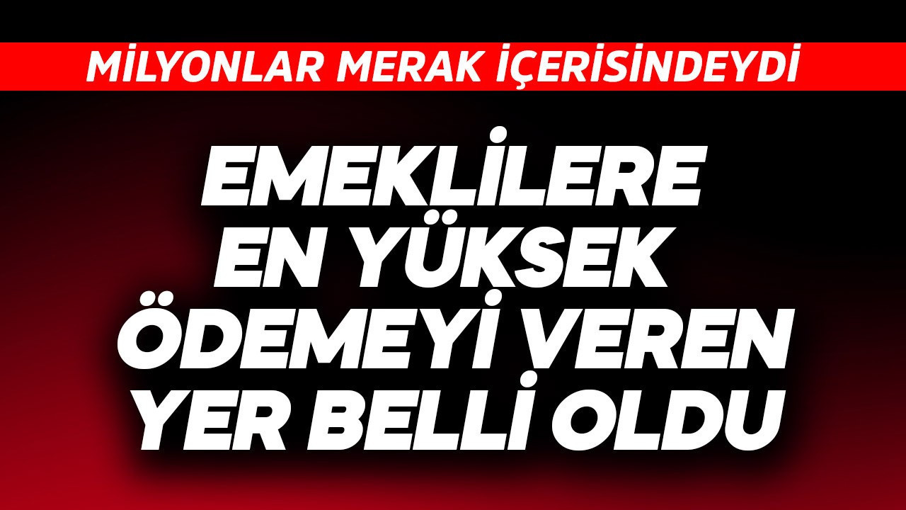 Emeklilere en yüksek ödemeyi veren yer belli oldu