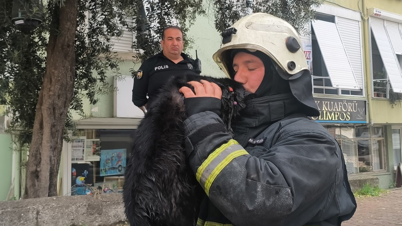 İtfaiye erinden yürek ısıtan kahramanlık! Kediyi kalp masajıyla hayata döndürdü