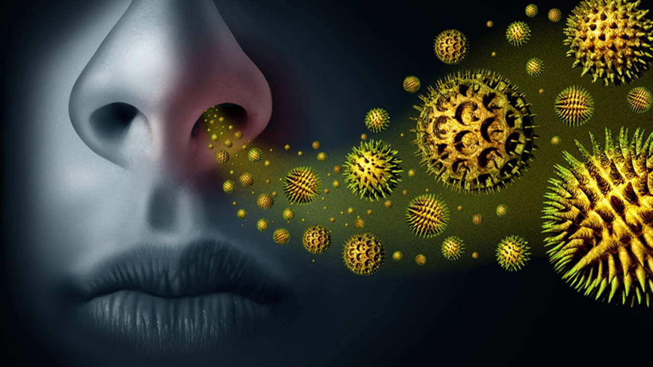 Alerjisi olanlar dikkat! Polenler bahar aylarında şikayetleri arttırıyor