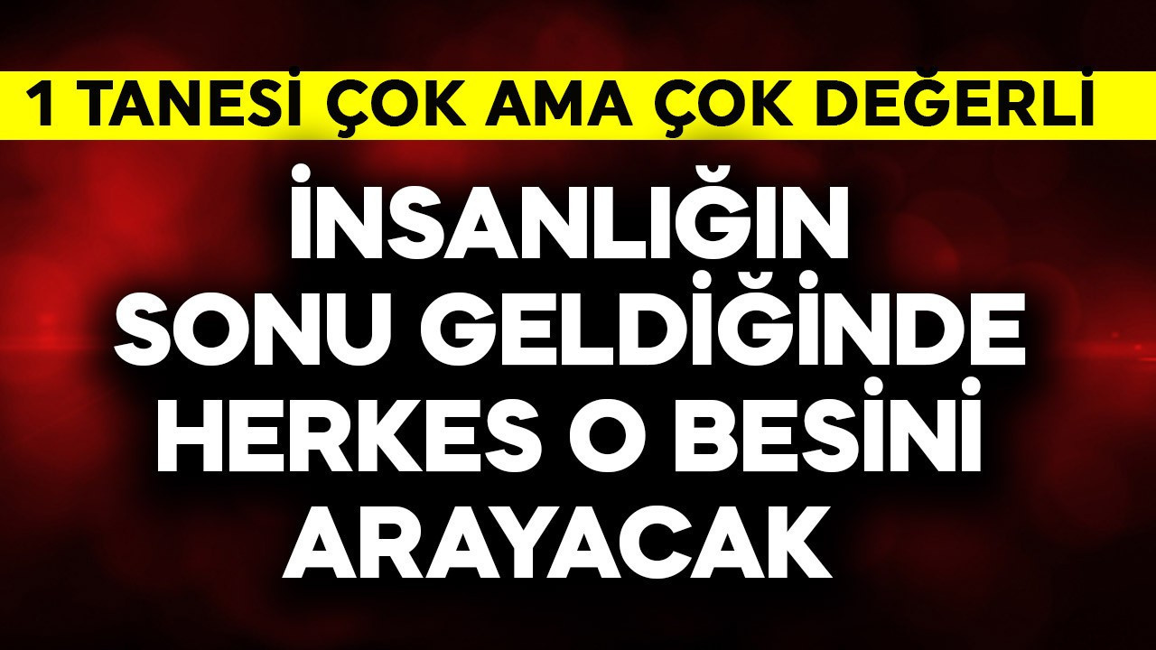 İnsanlığın sonu geldiğinde herkes o besini arayacak! 1 tanesi çok çok değerli