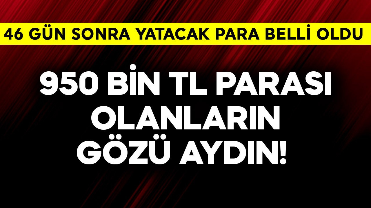 950 bin TL parası olanların gözü aydın! 46 gün sonra yatacak para belli oldu