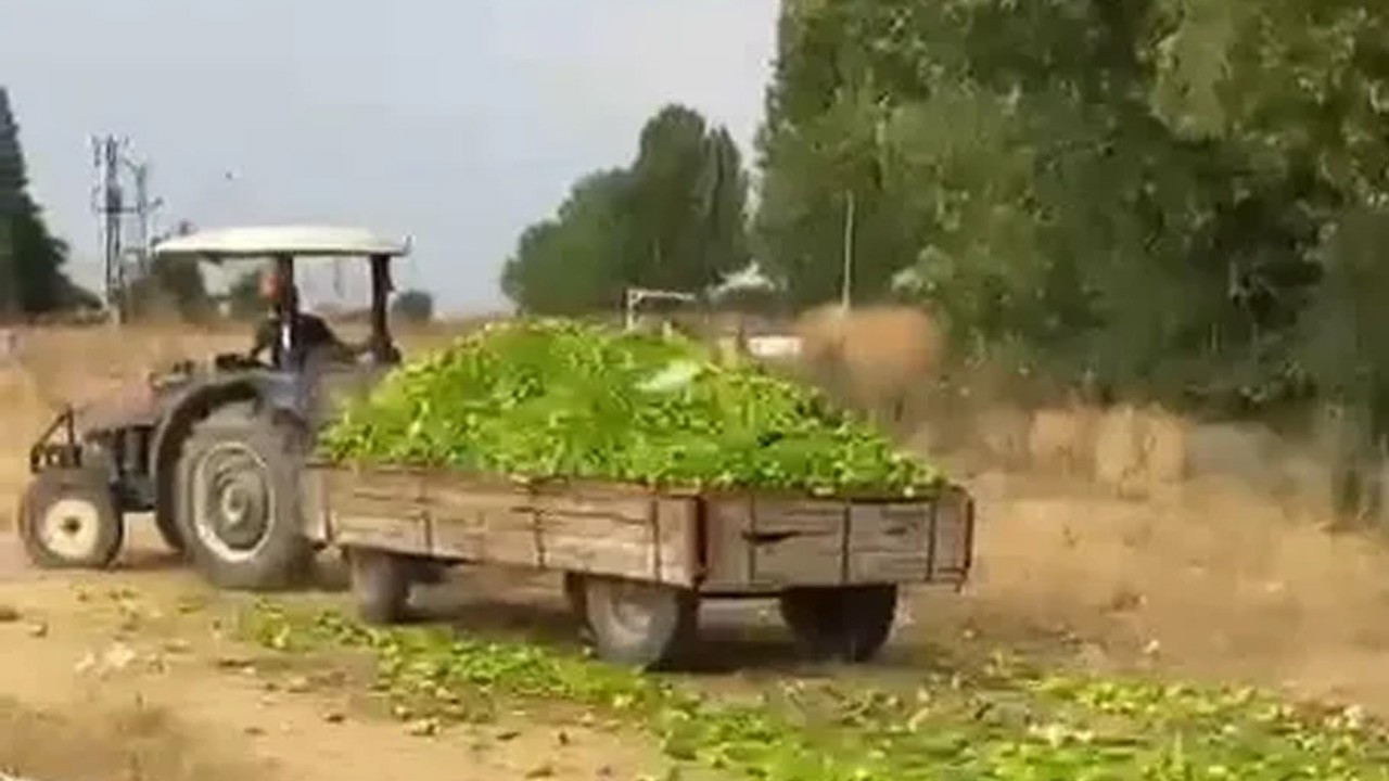 O video sosyal medyayı sallamıştı! Ticaret Bakanlığı'ndan açıklama geldi: Suç duyurusunda bulunuldu